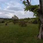 Il Casale Dello Chef * Monte San Giusto