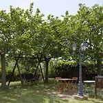 Il Casale Dello Chef Monte San Giusto