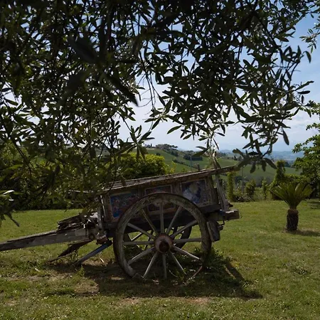 Il Casale Dello Chef * Monte San Giusto
